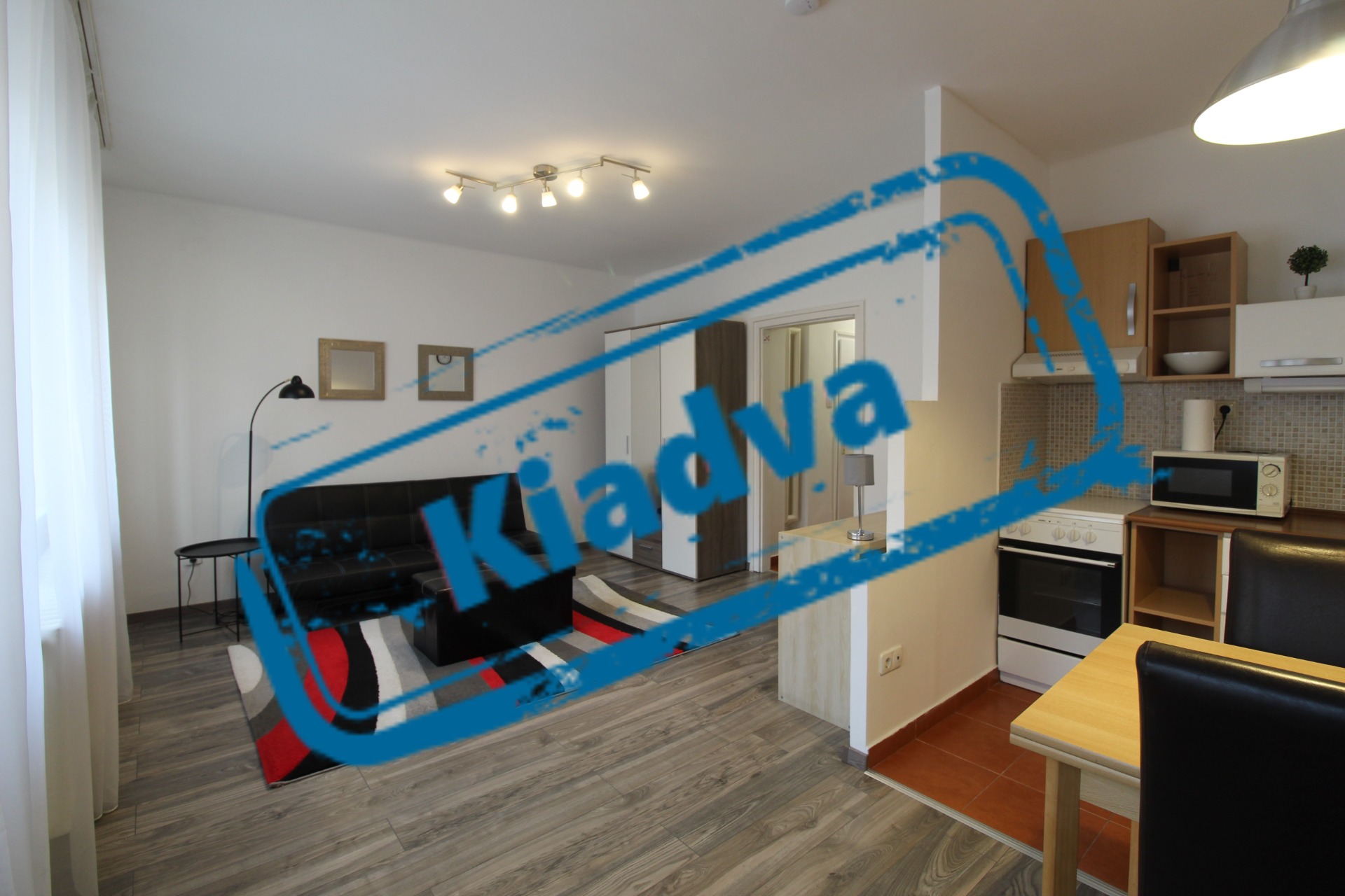 ***KIADVA*** Pécs-belvárosi, amerikai konyhás nappali + 1 hálószobás téglalakás